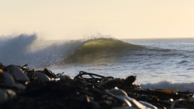 extraordinary sequences from Planet Earth a Celebration